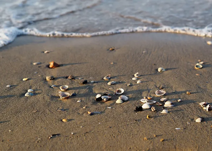 Flat With A Lovely Poolside Garden With Bbq Bibione